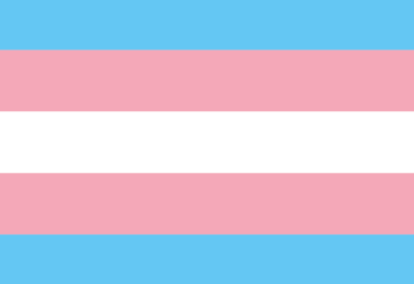 Trans*-Flagge A8