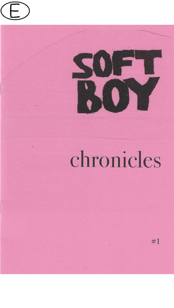 Soft Boy Chronicles
